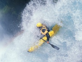 kt体育官网入口下载